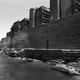 Image for article titled The Weirdest Urban Ecosystems On Earth